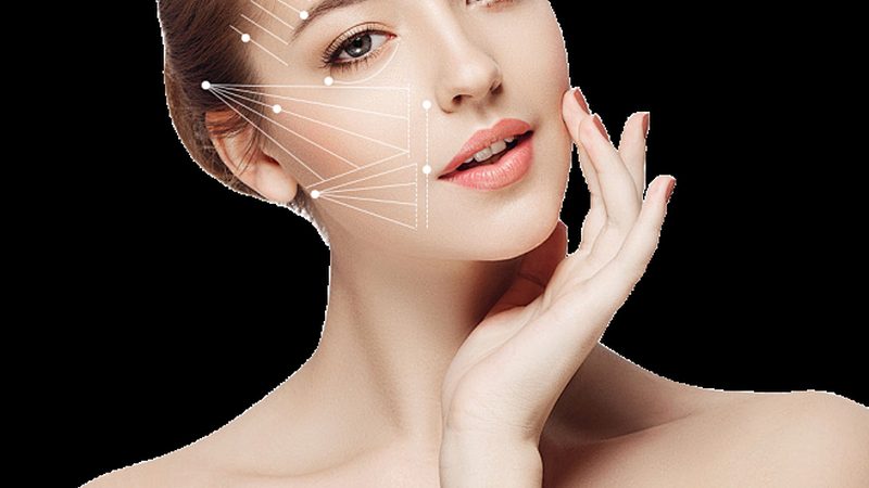 小标题：一、皮肤管理加盟行业现状